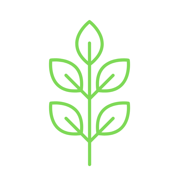 You Pick Flowers-20 Stems (Assorted)