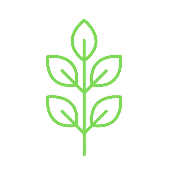 North Shore Plant Company